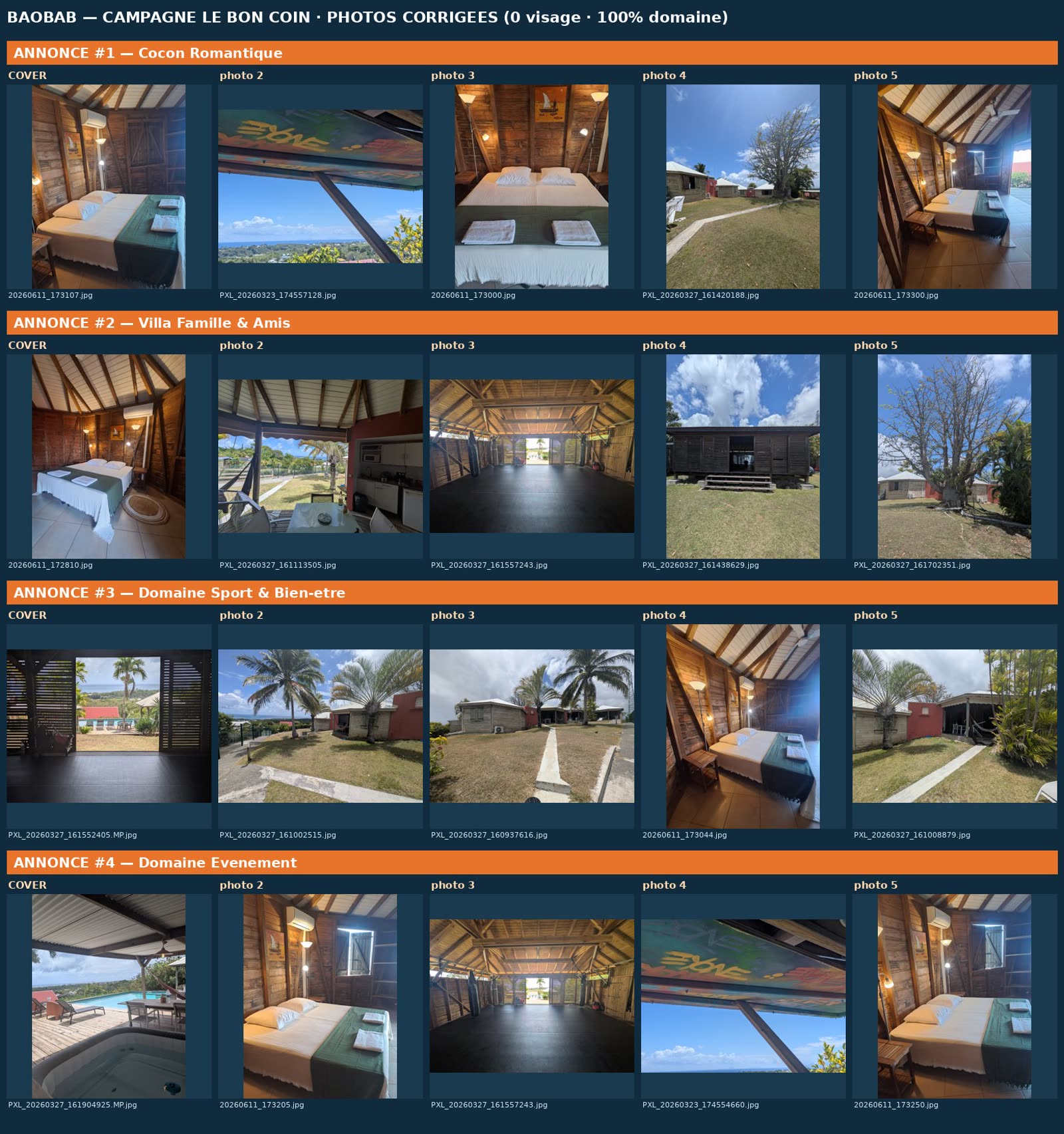 Annonces optimisées (photos)